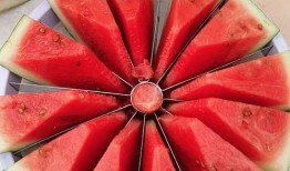 今日吃瓜--今日大赛